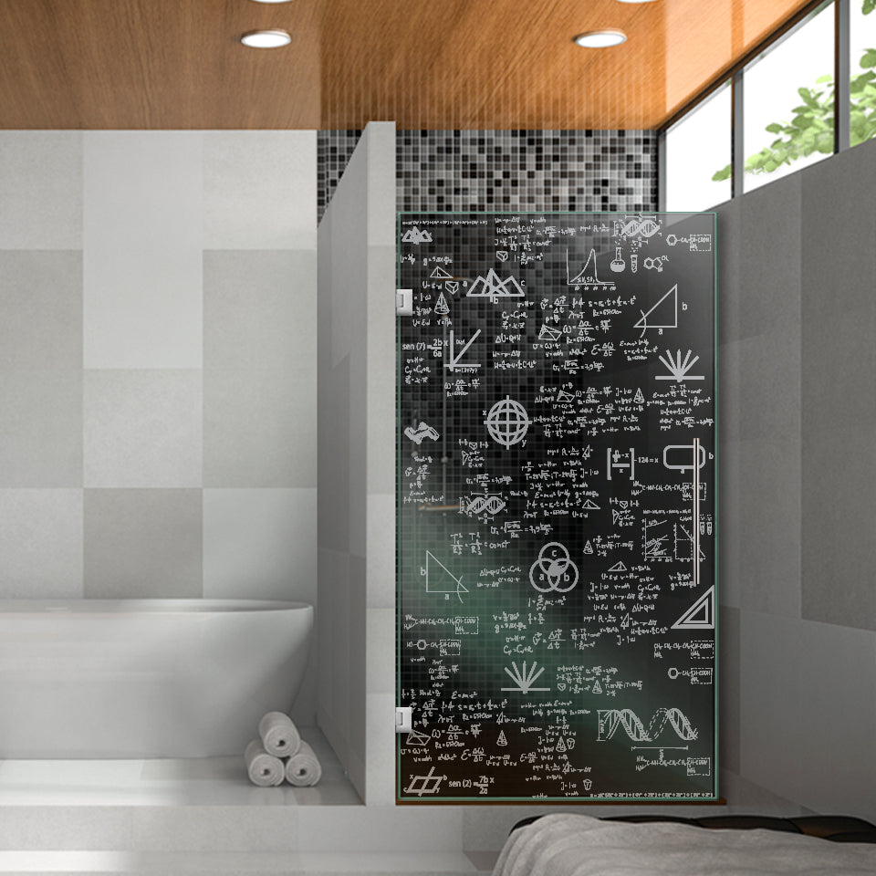 Frameless Shower Glass Door FGDS -0301 - DoorDiscounter