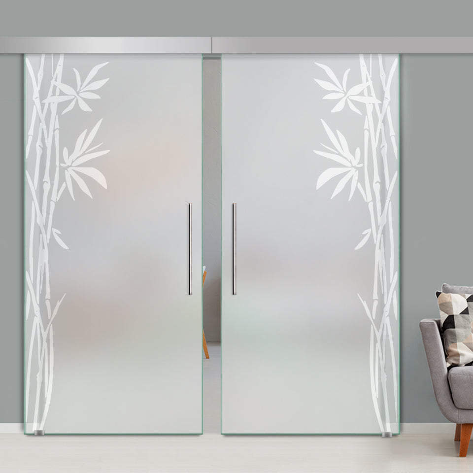 Double Sliding Glass Barn Door A100 SGB2 - 3766 - DoorDiscounter