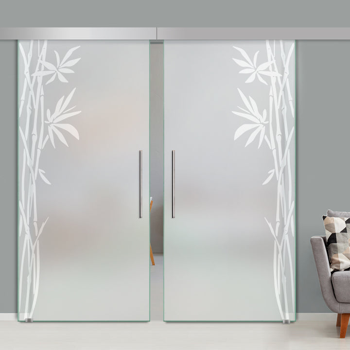 Double Sliding Glass Barn Door A100 SGB2 - 3766 - DoorDiscounter