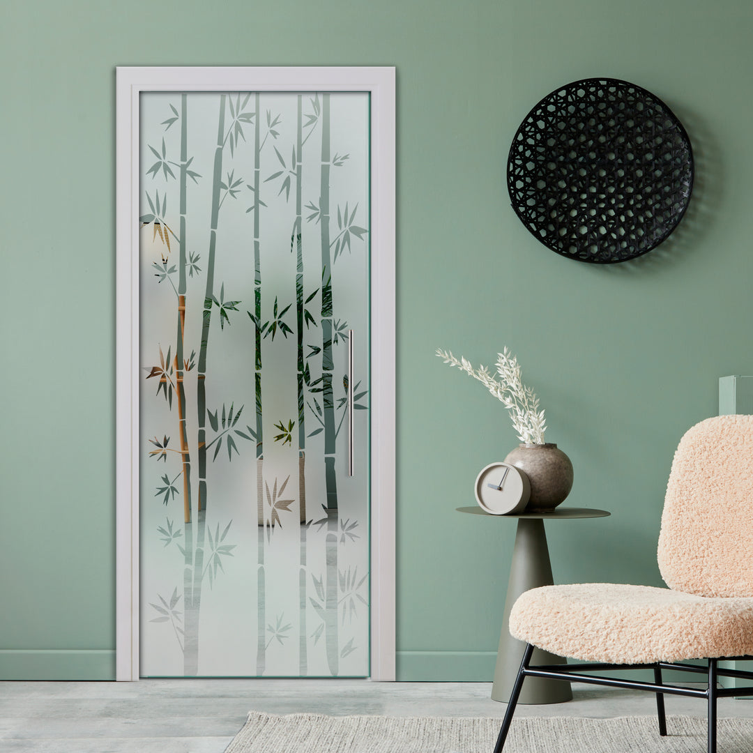 SLIDING POCKET GLASS DOOR WITH TRACK SYSTEM SPTS - 2534 - DoorDiscounter