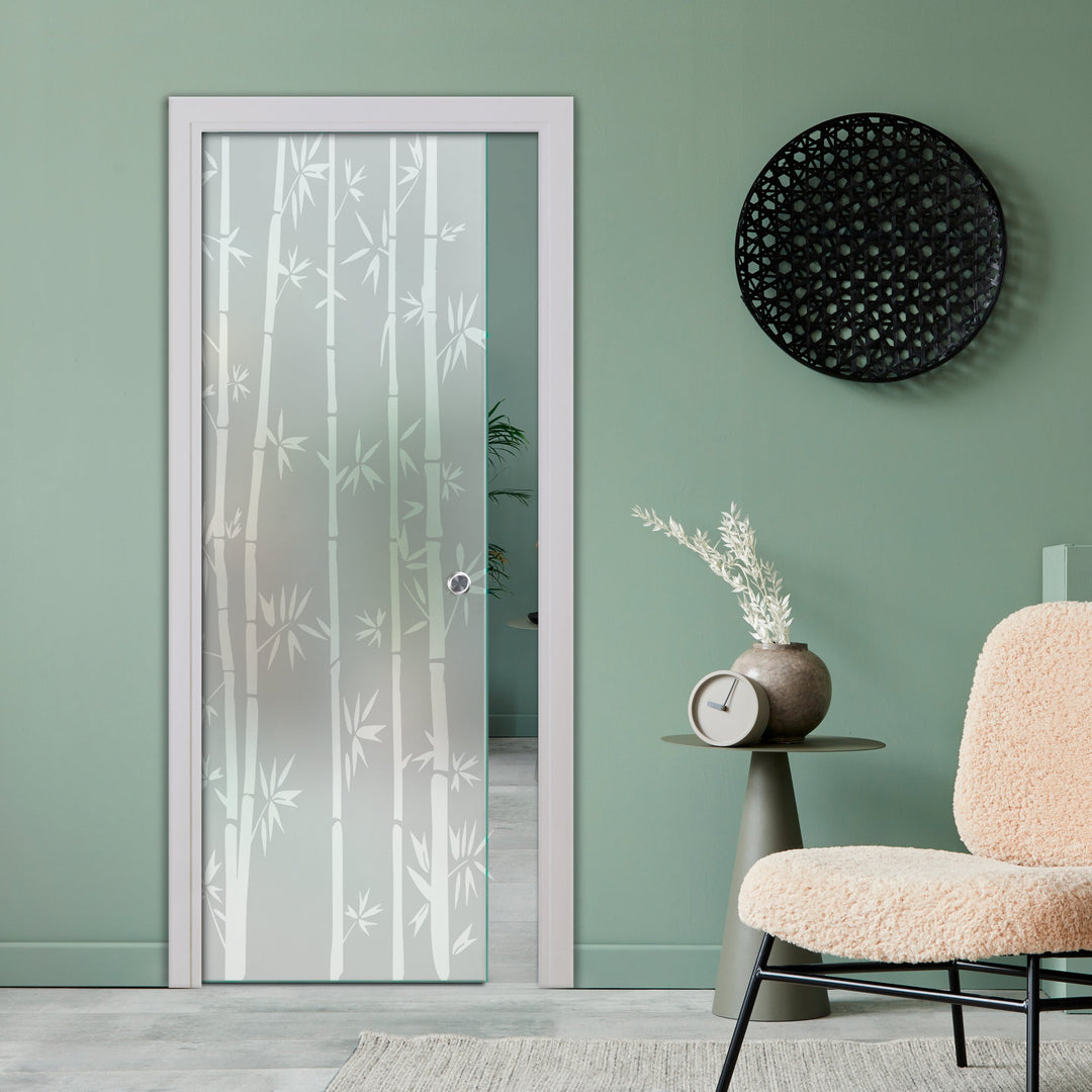 SLIDING POCKET GLASS DOOR WITH TRACK SYSTEM SPTS - 2534 - DoorDiscounter