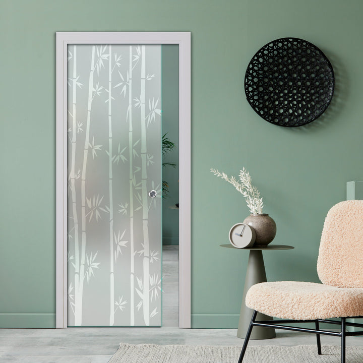 SLIDING POCKET GLASS DOOR WITH TRACK SYSTEM SPTS - 2534 - DoorDiscounter