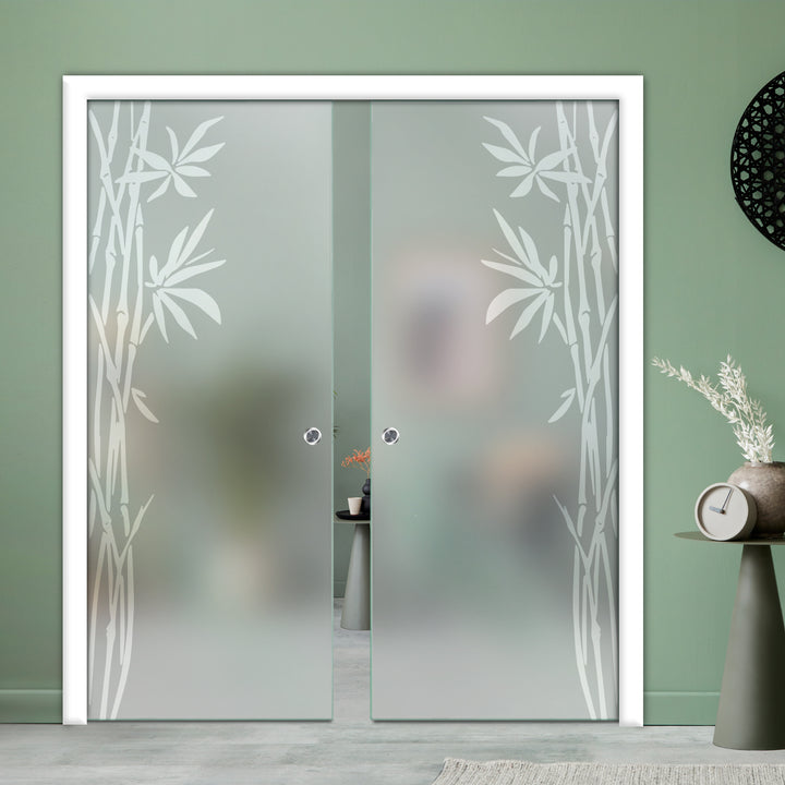 DOUBLE SLIDING POCKET GLASS DOOR WITH TRACK SYSTEM DPTS - 2595 - DoorDiscounter