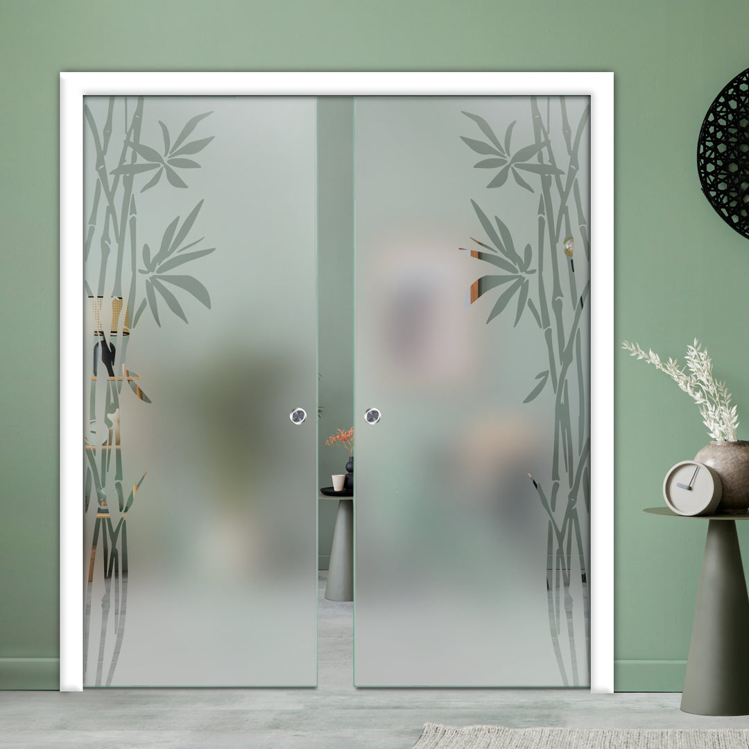 DOUBLE SLIDING POCKET GLASS DOOR WITH TRACK SYSTEM DPTS - 2595 - DoorDiscounter