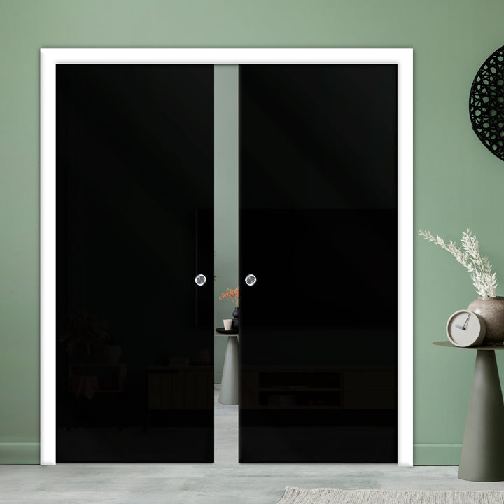 DOUBLE SLIDING POCKET GLASS DOOR WITH TRACK SYSTEM DPTS - 1289 - DoorDiscounter