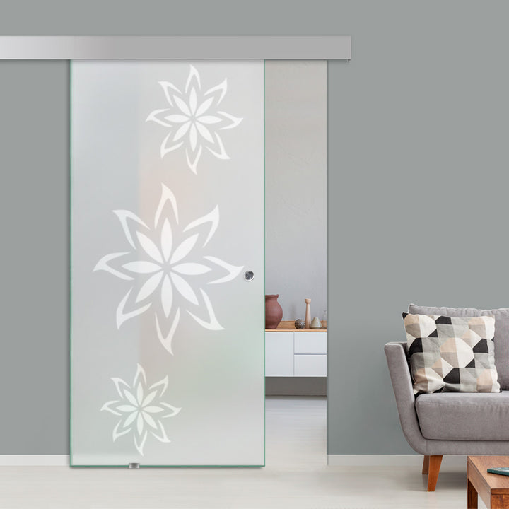 Sliding Glass Barn Door Alu100 SGBD - 1495 - DoorDiscounter