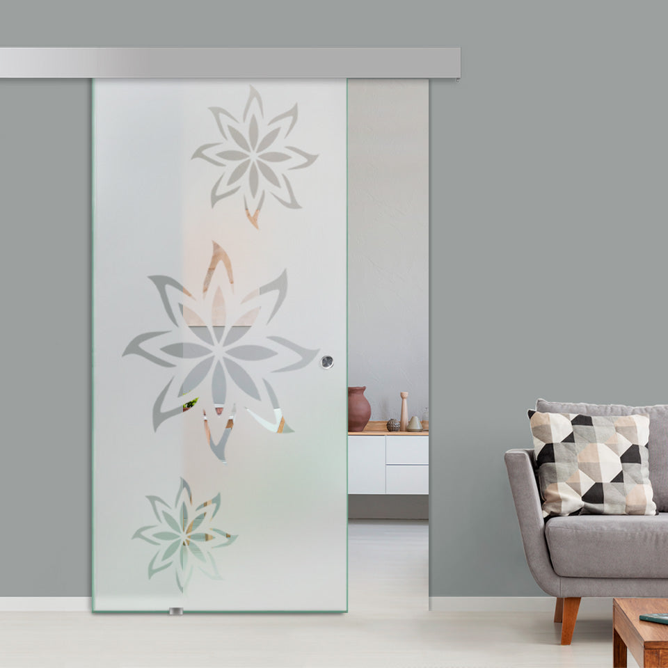 Sliding Glass Barn Door Alu100 SGBD - 1495 - DoorDiscounter